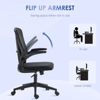 Mesh Office Chair Computer Chair with Lumbar Support, Swivel Wheels