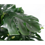 150cm Artificial Monstera Plant