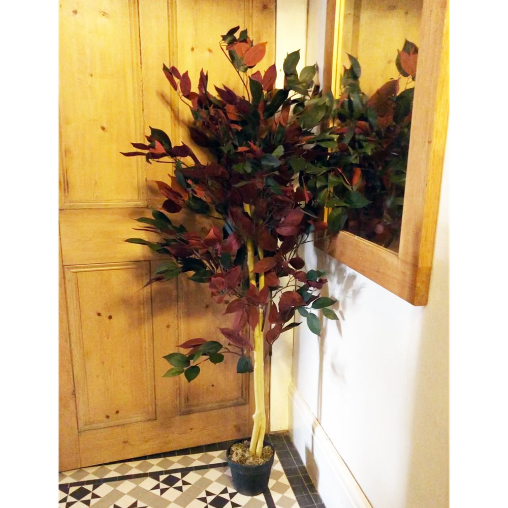 Red Ficus Tree - 120cm (4ft) - Realistic & Durable - Gold Metal Planter