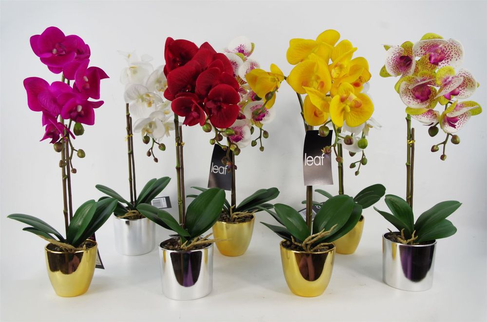 48cm Harlequin Orchid Artificial - Pink with Gold Pot