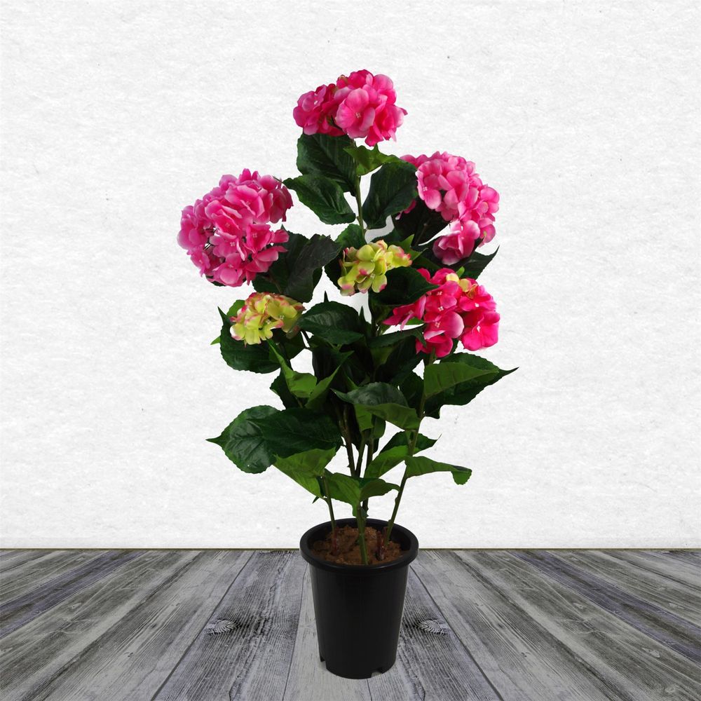 Realistic Pink Hydrangea Flowering Plant - Detailed - for Indoor Decor