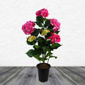Realistic Pink Hydrangea Flowering Plant - Detailed - for Indoor Decor