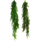 100cm Hanging String of Pearls Fern Plant