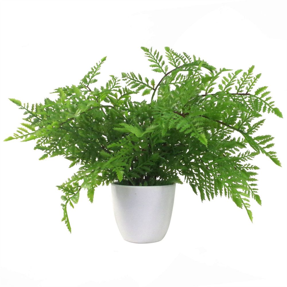Realistic 30cm Artificial Southern Wood Fern - Potted Plant