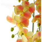 110cm Large Yellow Peach Orchid Plant - 41 REAL TOUCH Flowers