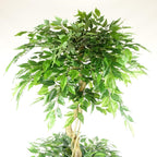 180cm Artificial Twisted Trunk Fruticosa Ficus Tree Triple Ball Topiary 1984 Leaves