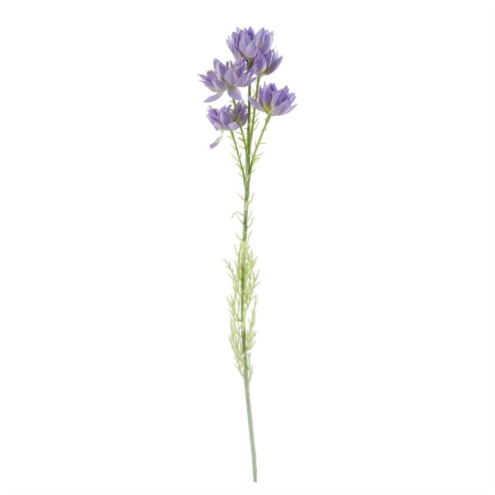 Pack of 6 x 60cm Purple Starflower Stems - 30 Blooms