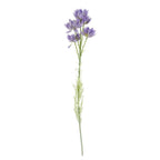 Pack of 6 x 60cm Purple Starflower Stems - 30 Blooms