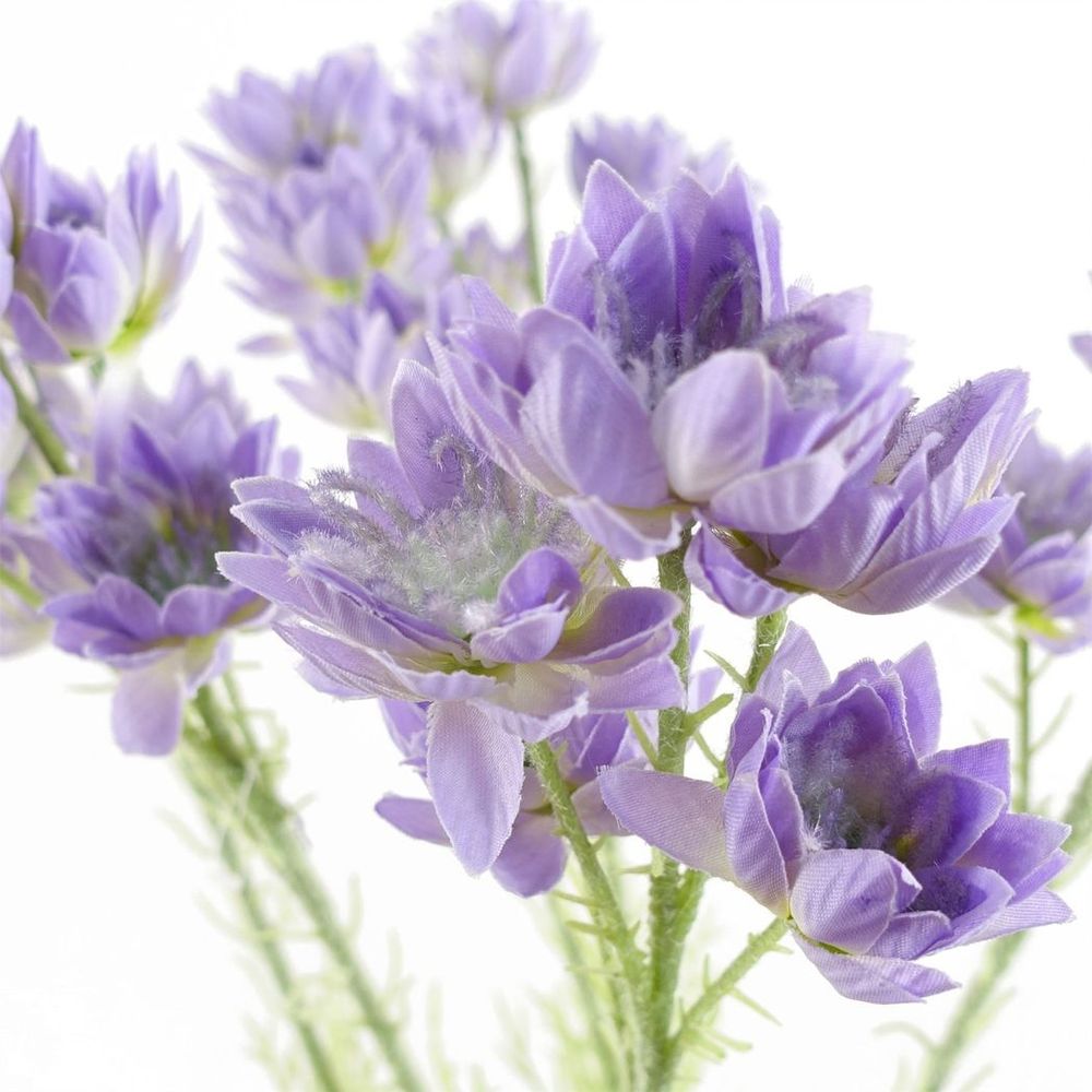 Pack of 6 x 60cm Purple Starflower Stems - 30 Blooms
