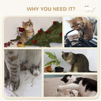 Cat Wall Furniture, Hammock, Perches, Ladder, Scratching Post, Grey