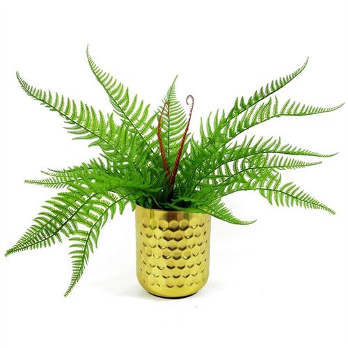 60cm Artificial Bushy Dixie Wood Fern Dark Green Plant in Green