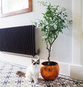 Stunning 120cm Artificial Olive Tree - Natural Style - Customizable