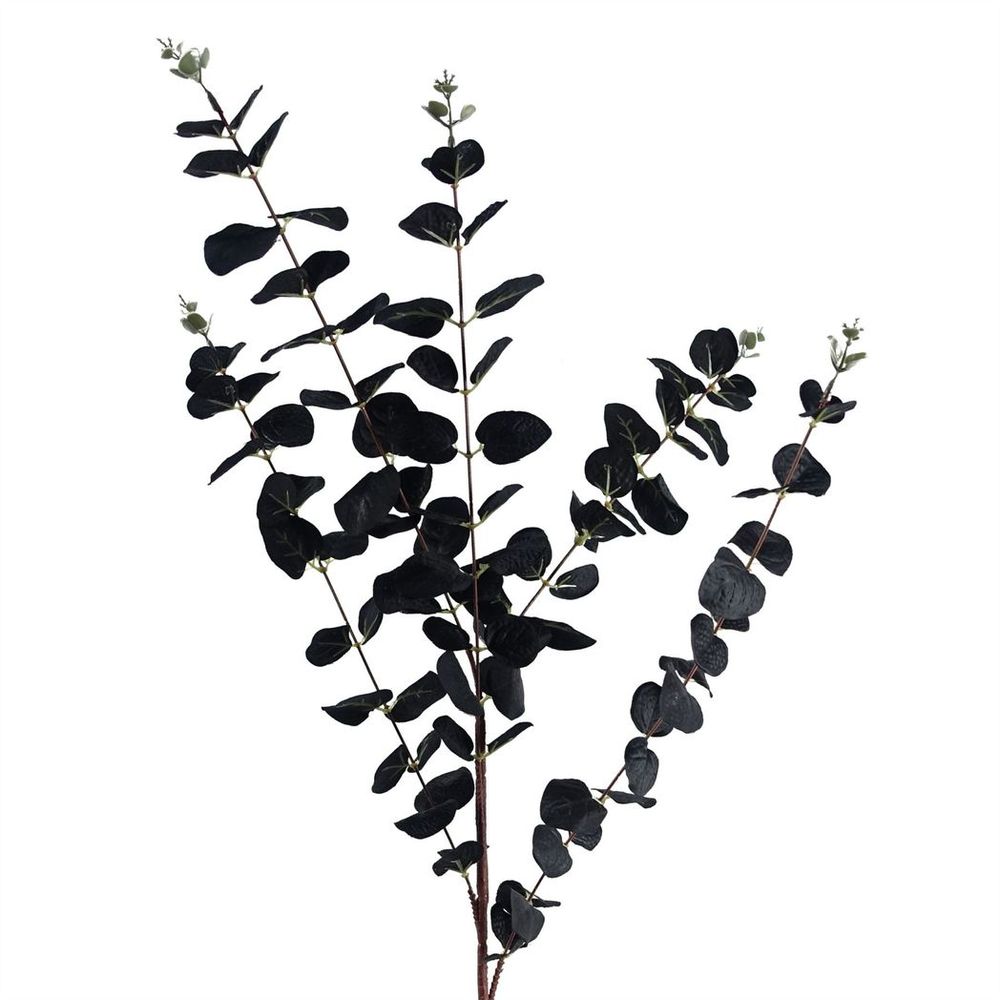 80cm Black Eucalyptus Foliage Stems - Pack of 6