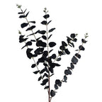 80cm Black Eucalyptus Foliage Stems - Pack of 6