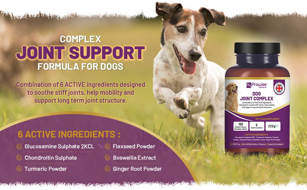 Dog Joint Support 150 Chicken Chewable Tablets 5 Months Supply - UK Made