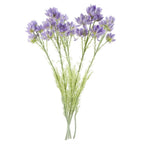 Pack of 6 x 60cm Purple Starflower Stems - 30 Blooms