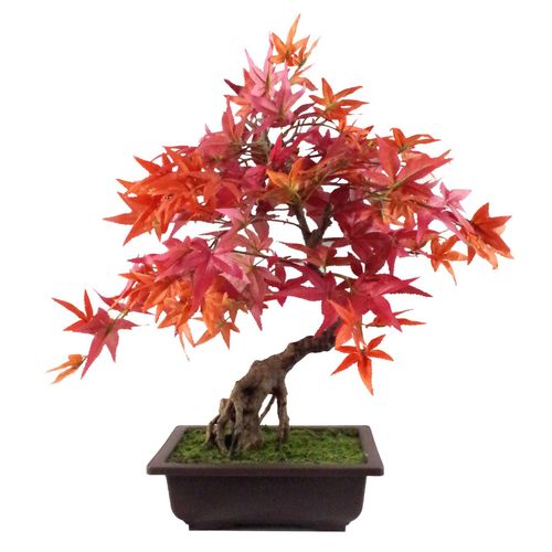 50cm Artificial Red Maple Bonsai Tree with Leaf Detail