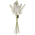 Pack of 6 x 100cm Artificial Phalaenopsis Orchid White Stem