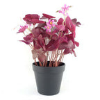 Realistic Purple Shamrock Pink Flowers Potted - Artificial Plant - 30cm Height