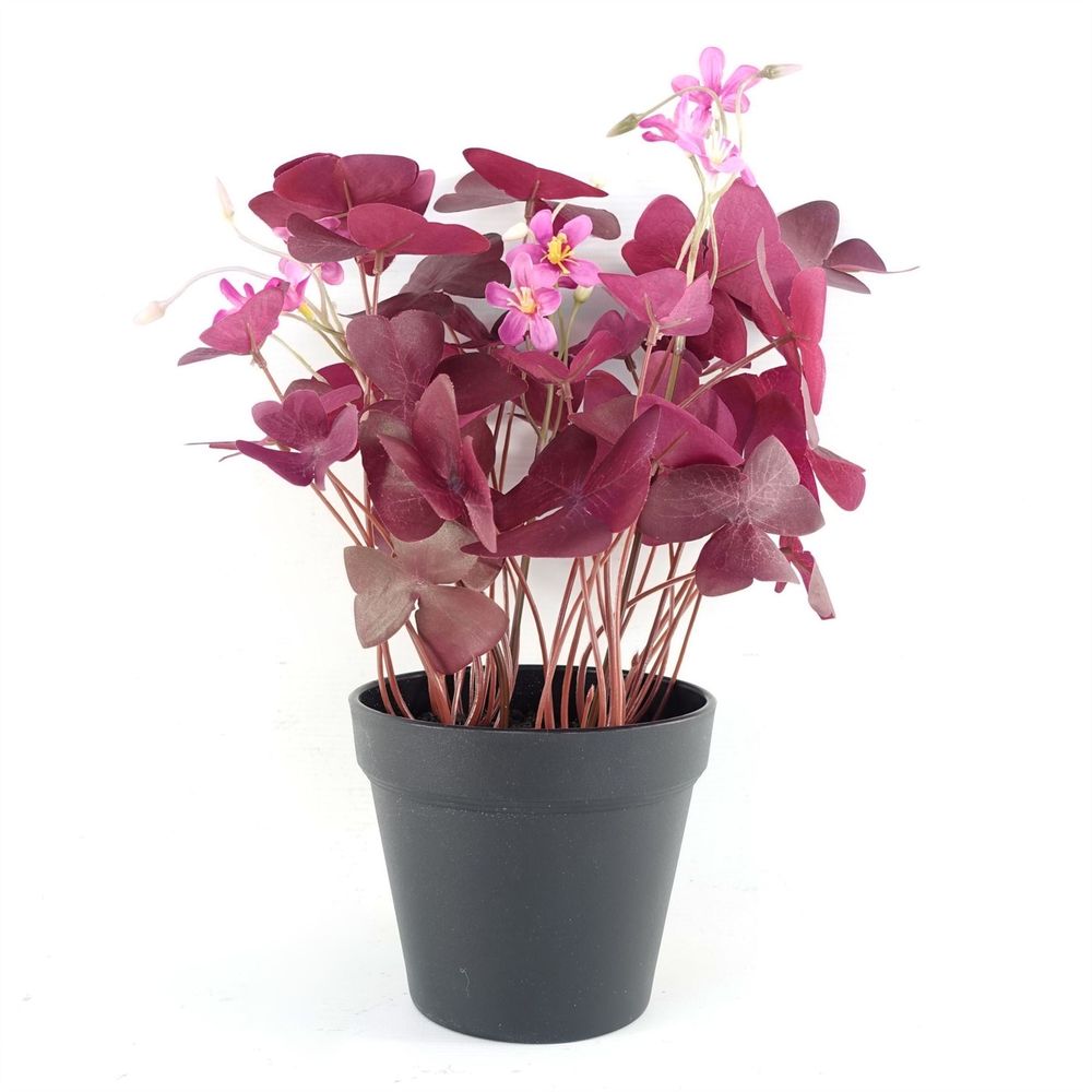 Realistic Purple Shamrock Pink Flowers Potted - Artificial Plant - 30cm Height