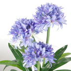 90cm Artificial Agapanthus - Blue Silk Flowers