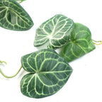 100cm Artificial Ivy Trailing Plant, Realistic & Versatile - No Planter