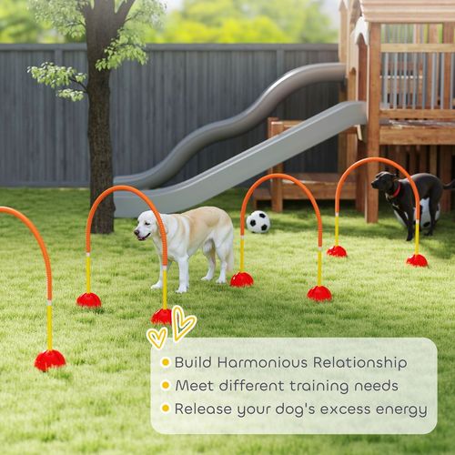 4 Piece Dog Agility Training Equipment with Carry Bag, Orange
