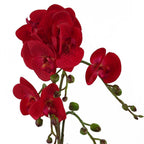 50cm Phalaenopsis Orchid Artificial - Red Leopard - Gold Pot in Gold