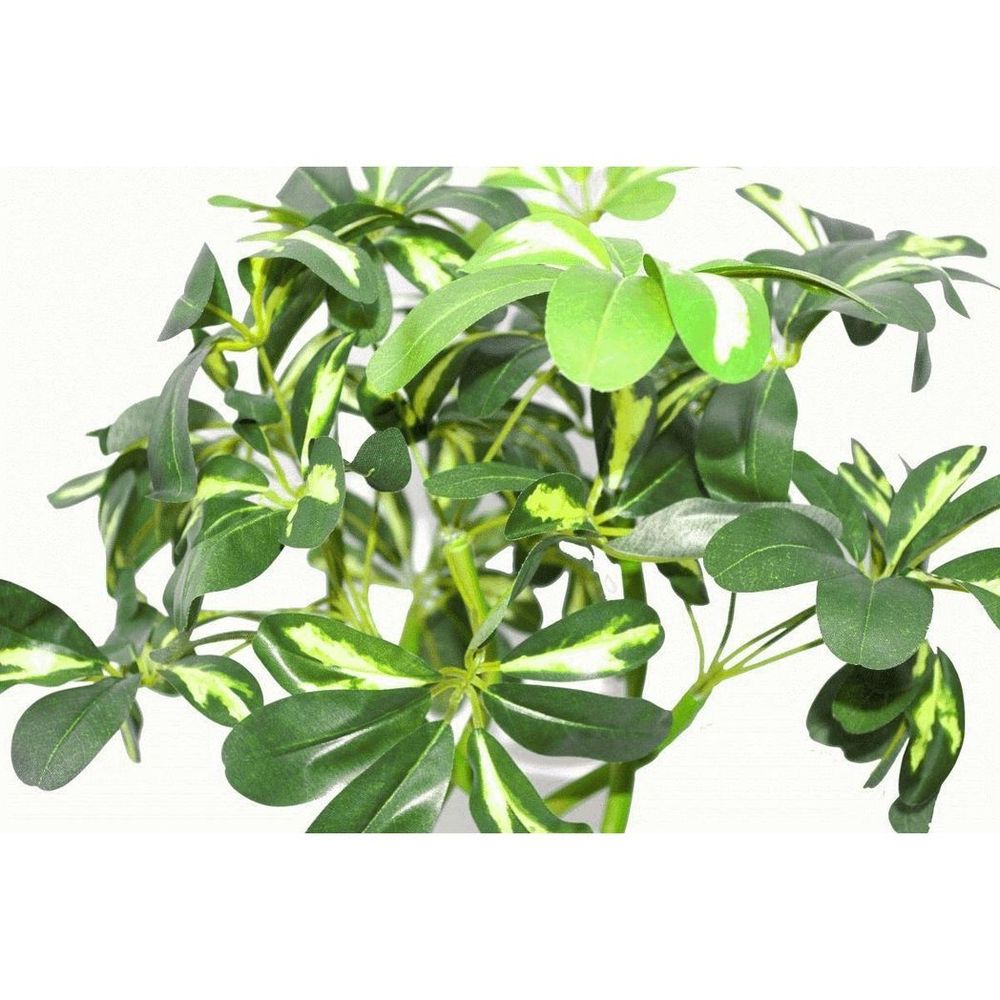 70cm Artificial Plant Bonsai Bush Twisted Stem Golden Capella with Arboricola Detail