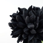 6x Black XL Chrysanthemum - Silk Petals - 75cm