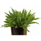 Realistic 40cm Artificial Crocodile Fern Plant