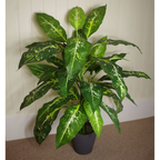 Lifelike 100cm Large Fox's Aglaonema Tree with Metal Planter - Artificial Plant