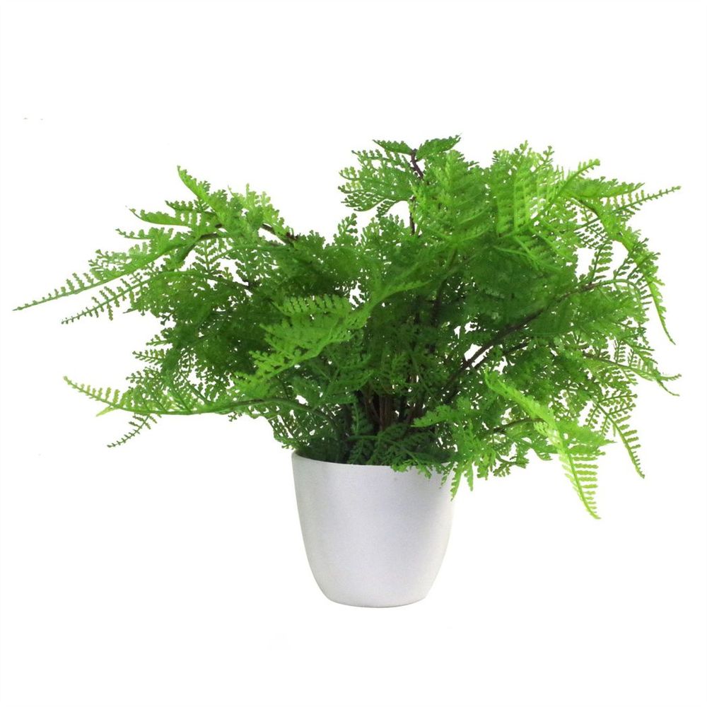 Realistic 30cm Artificial Potted Lady Fern - Lifelike (Athyrium Filix-Femina)