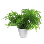 Realistic 30cm Artificial Potted Lady Fern - Lifelike (Athyrium Filix-Femina)
