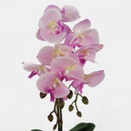 Realistic 50cm Pink Silver Phalaenopsis Orchid - Artificial Floral Decor