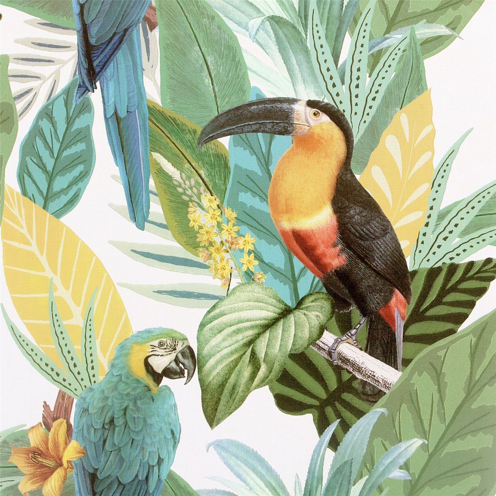 Tropical Paradise Toucan Jungle Multi: Expertly Crafted for All Ages!