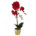 50cm Phalaenopsis Orchid Artificial - Red Leopard - Gold Pot in Gold