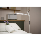 Native Lighting - Lumina Floor Lamp