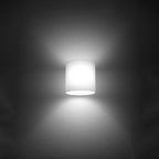 Vici Modern Glass Wall Lamp, Stylish Design, G9 Compatible