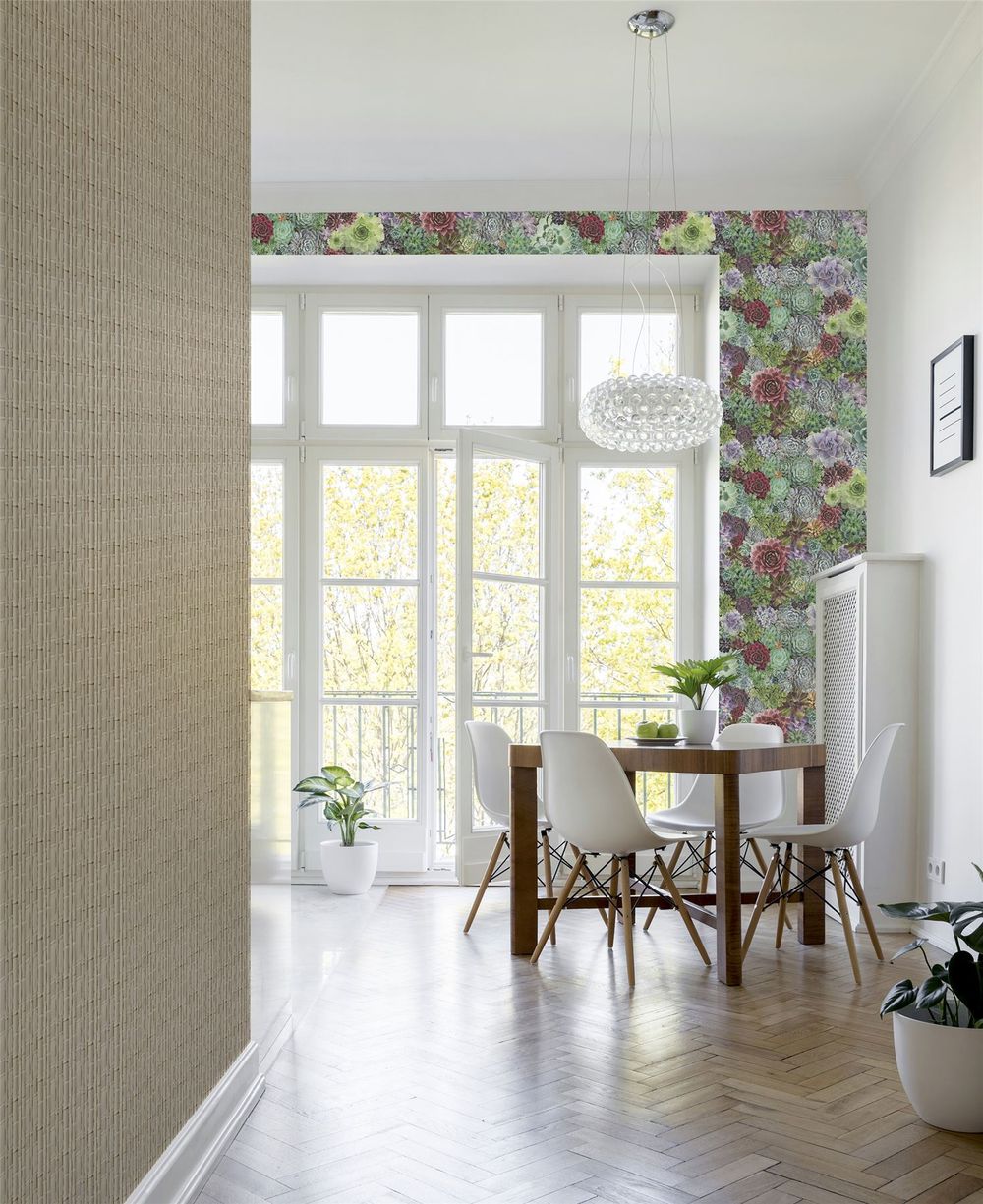 Succulent Living Wall Multi