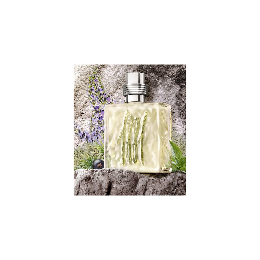 Woody & Spicy & Fresh Eau de Toilette Spray 25ml