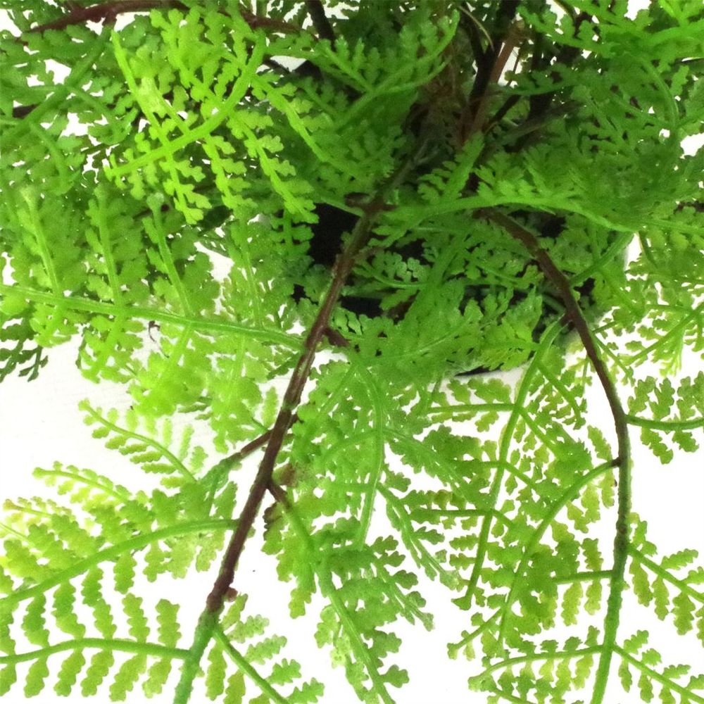 Realistic 30cm Artificial Potted Lady Fern - Lifelike (Athyrium Filix-Femina)