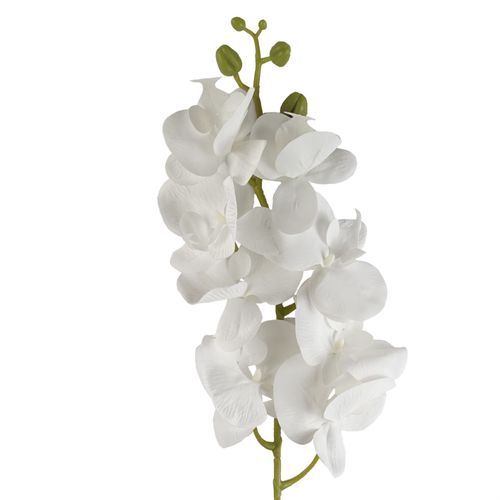 100cm Artificial Phalaenopsis Orchid White Stem