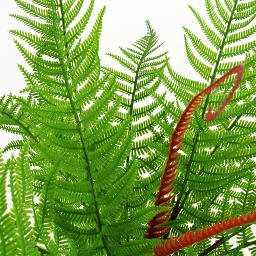 Artificial Bushy Dixie Wood Fern Dark Green Plant 60cm