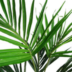 130cm Silk Kentia Palm