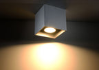 Quad 1 Grey Ceiling Lamp - Modern Loft Design with LED GU10 for a stylish and well-lit space