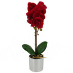 Red Orchid: Realistic, Silver Pot