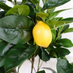 150cm Artificial Lemon Tree