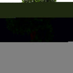 120cm Pair of Spiral Buxus Artificial Tree UV Resistant Outdoor Topiary