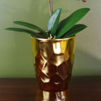 54cm Artificial Orchid Plant - Dark Pink Gold Pot in Gold